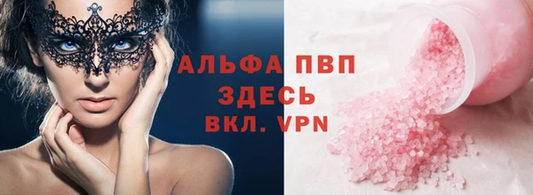 дмт Ладушкин