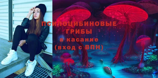 дмт Ладушкин